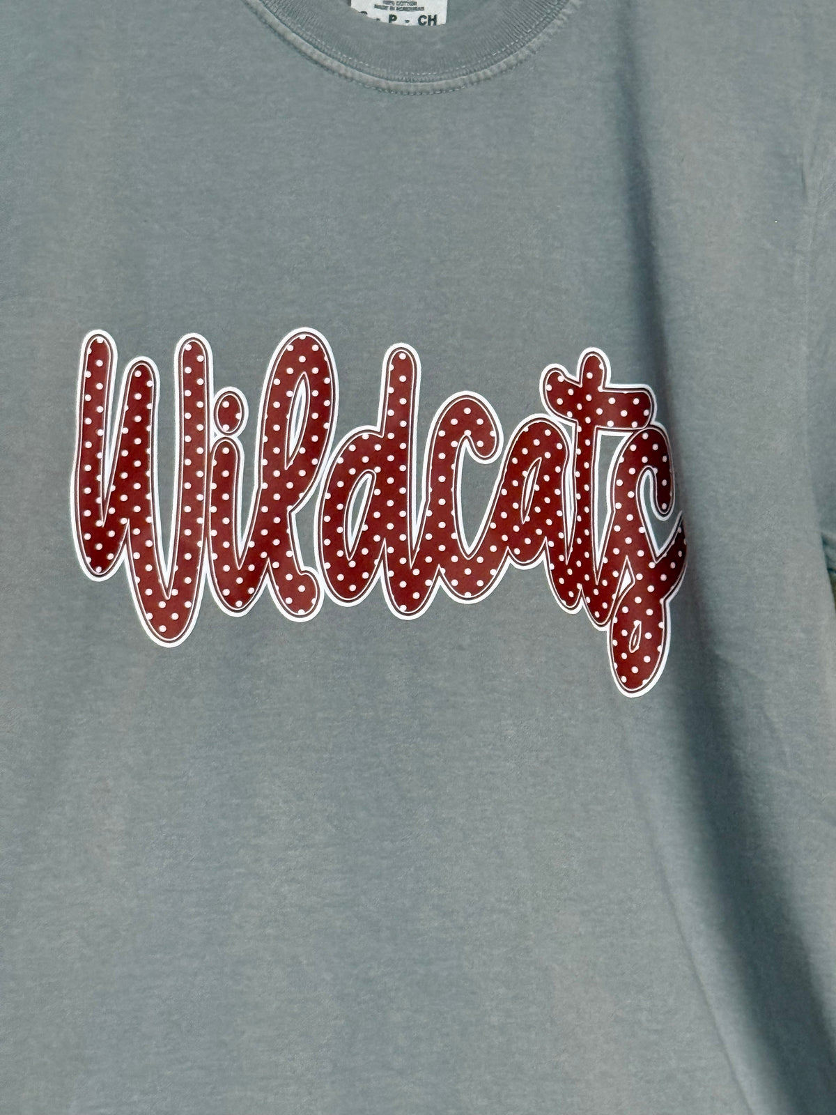 16826 Wildcats Polka Dots