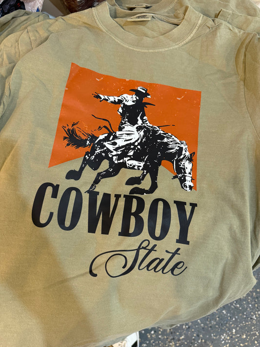 18426 Cowboy State