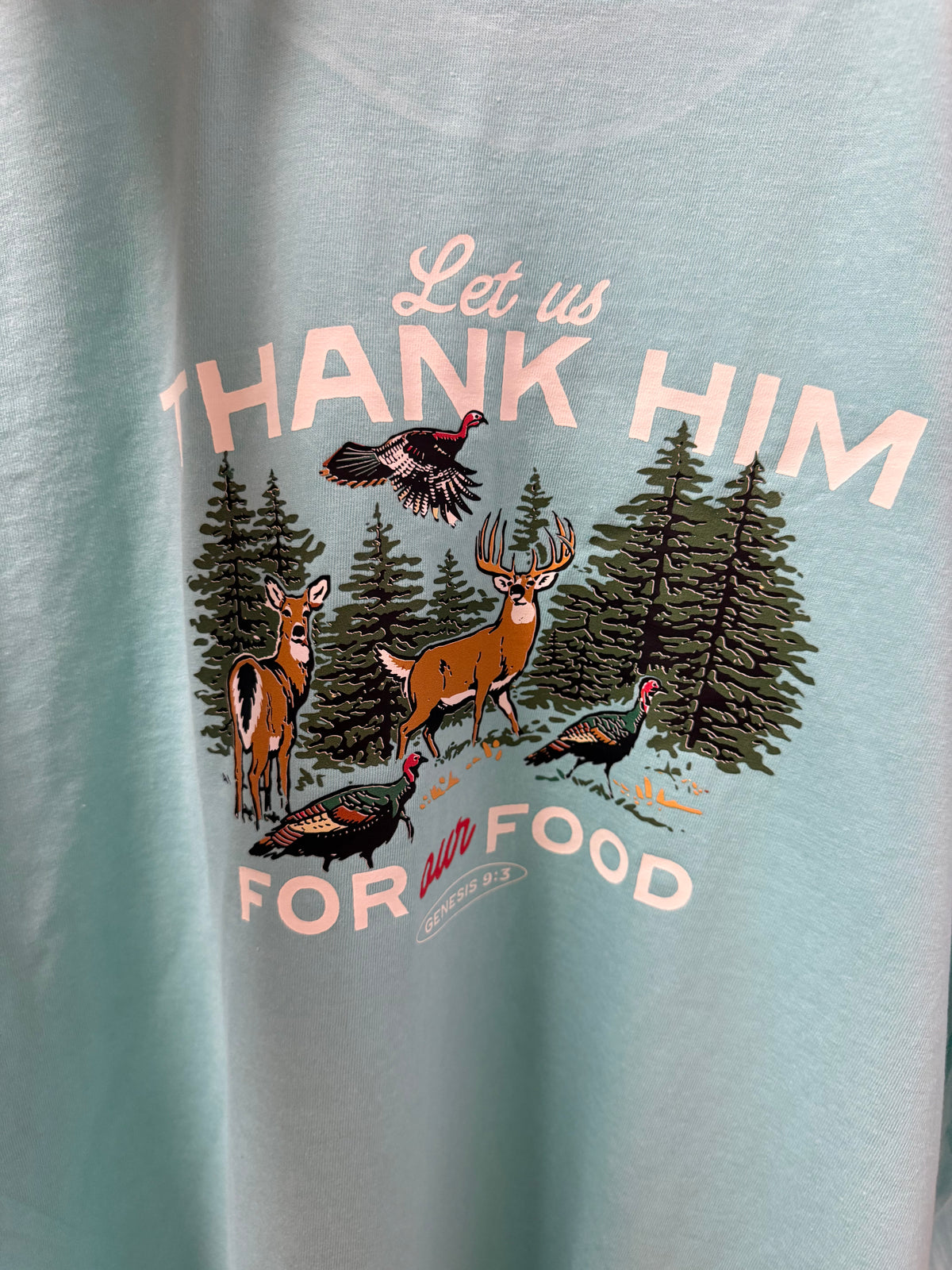 23926 Thank Him Shirt